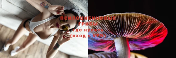 тгк Балахна