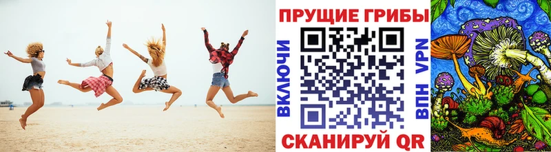 Галлюциногенные грибы Psilocybe  нарко площадка наркотические препараты  Богучар 